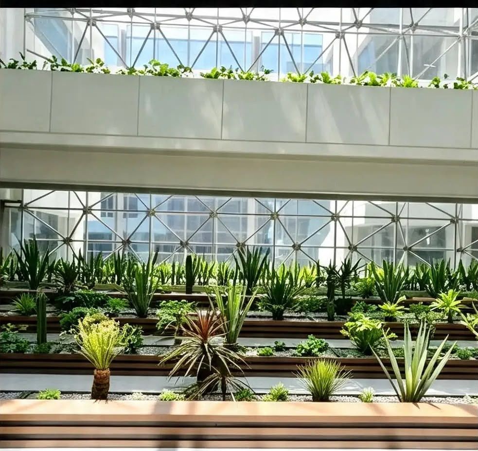 Sala Comercial em Bosque de las Lomas, Miguel Hidalgo, foto 9 de 12