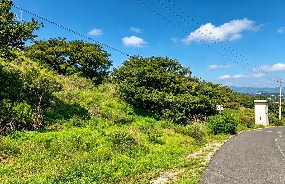 Terreno en Rancho San Juan, Atizapán de Zaragoza, foto 6 de 8