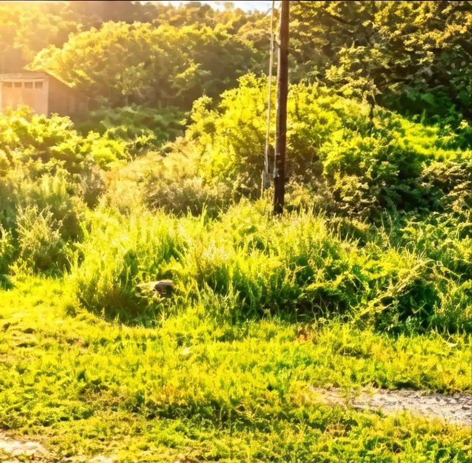 Terreno en Rancho San Juan, Atizapán de Zaragoza, foto 5 de 8