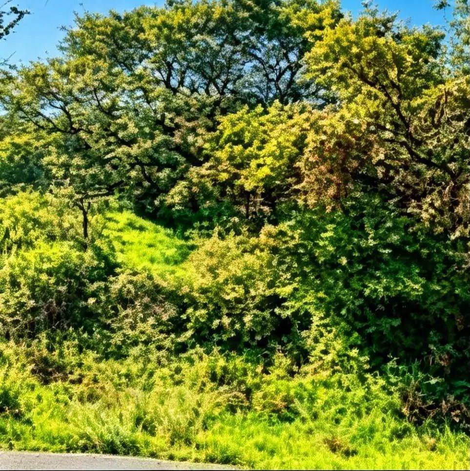 Terreno en Rancho San Juan, Atizapán de Zaragoza, foto 4 de 8
