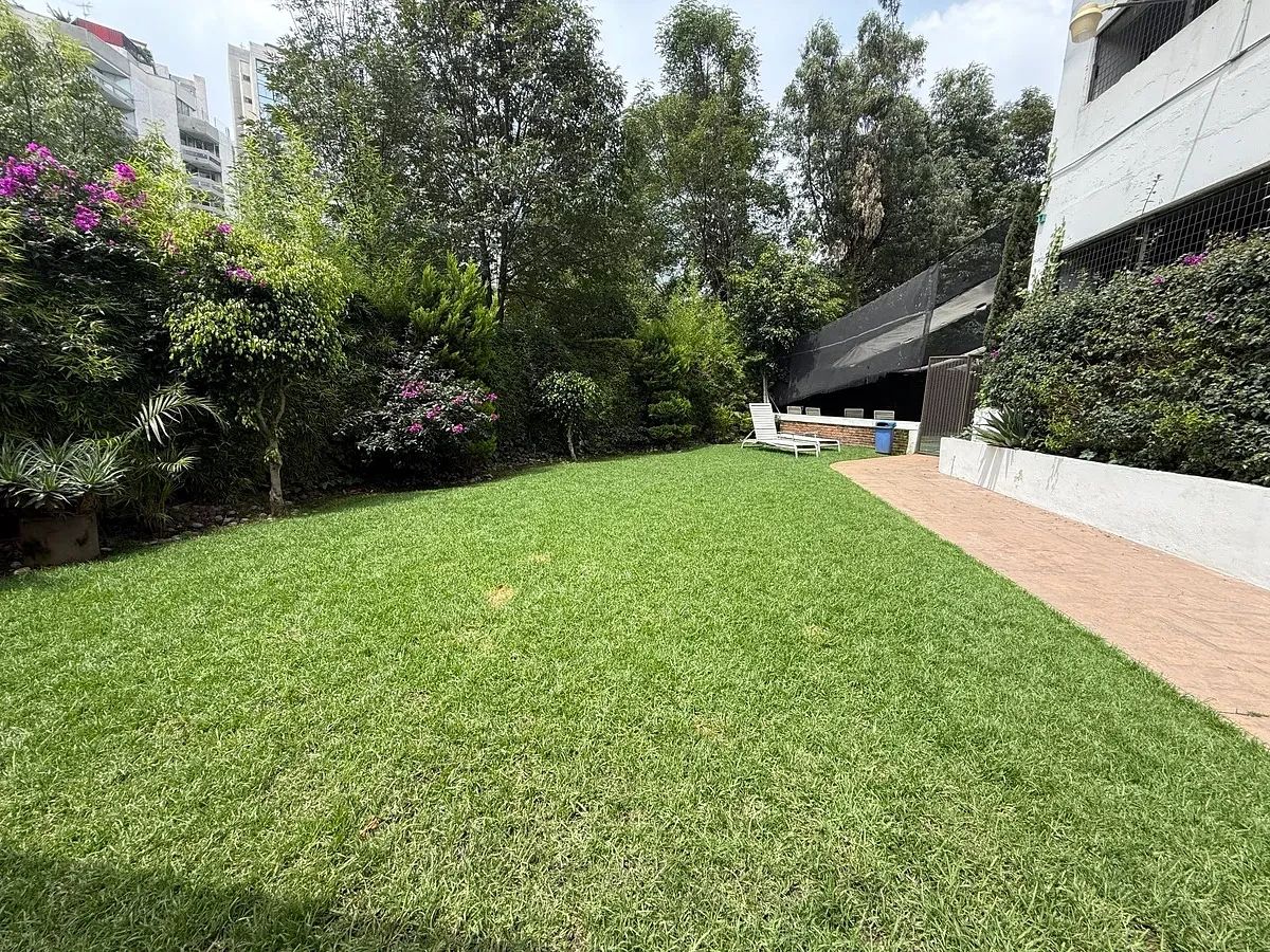 Departamento en Lomas de Chapultepec I Sección, Miguel Hidalgo, foto 3 de 7