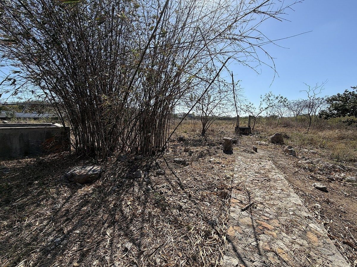 Lote em Chichi Suárez, Mérida, foto 6 de 8