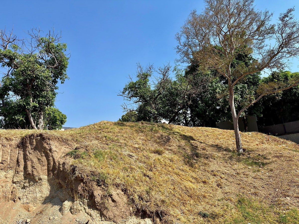 Terreno en Jacarandas, Zapopan, foto 11 de 18