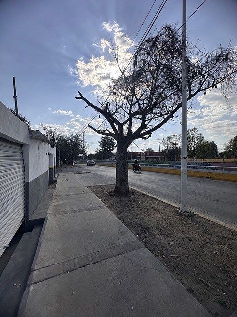 Lote comercial em San Agustin, Tlajomulco de Zúñiga, foto 3 de 9