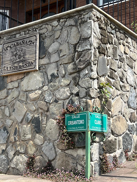 Lote em Atacco, Tapalpa, foto 11 de 13