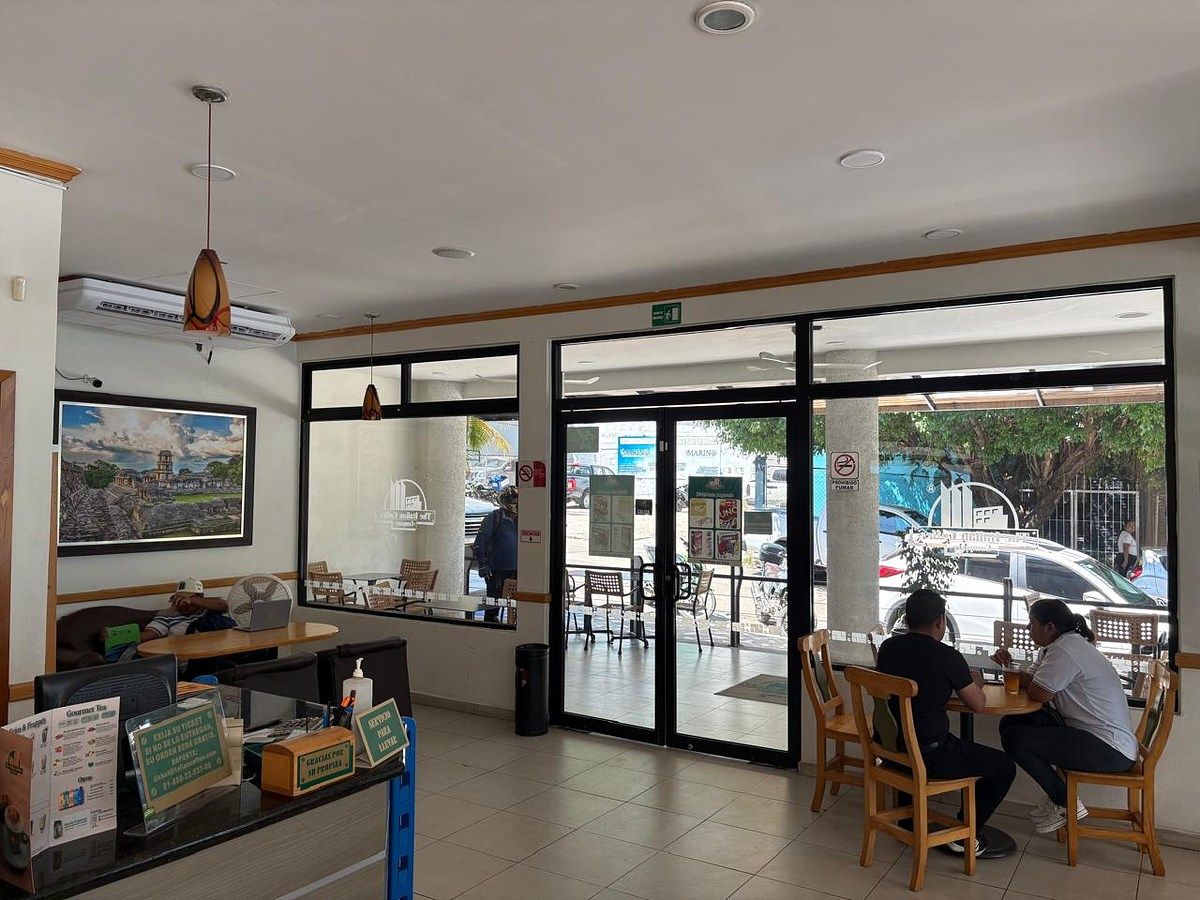 Retail Space in San Miguel, Palenque, photo 3 of 3