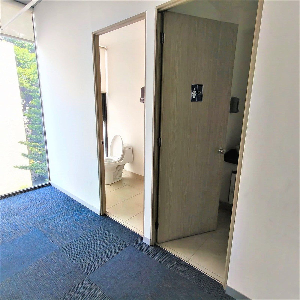 Office in Anzures, Miguel Hidalgo, photo 23 of 29