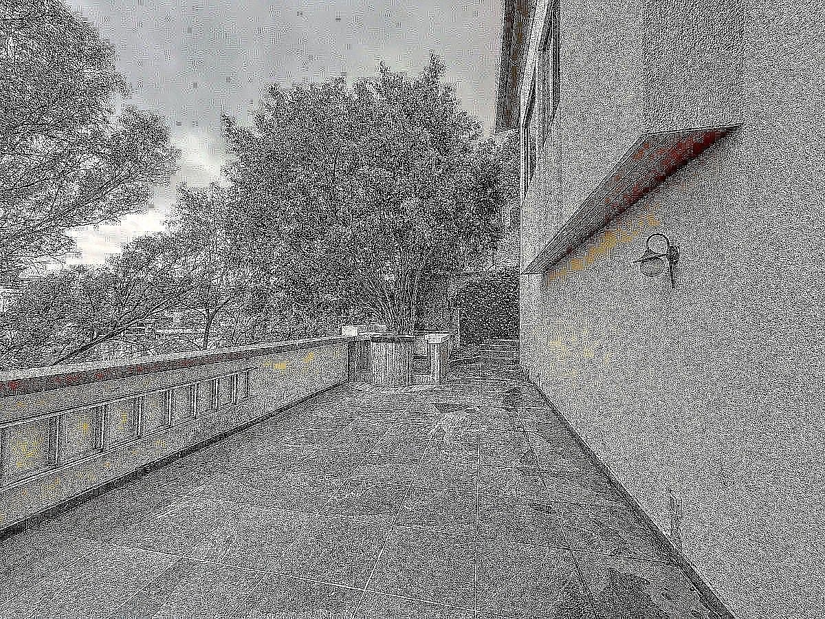 Casa em Bosque de las Lomas, Miguel Hidalgo, foto 17 de 25
