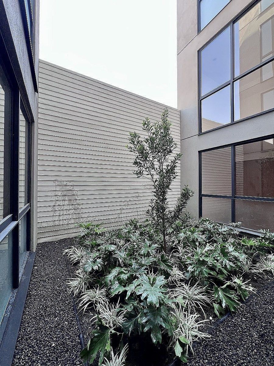 Apartment in Del Valle Centro, Benito Juárez, photo 13 of 14