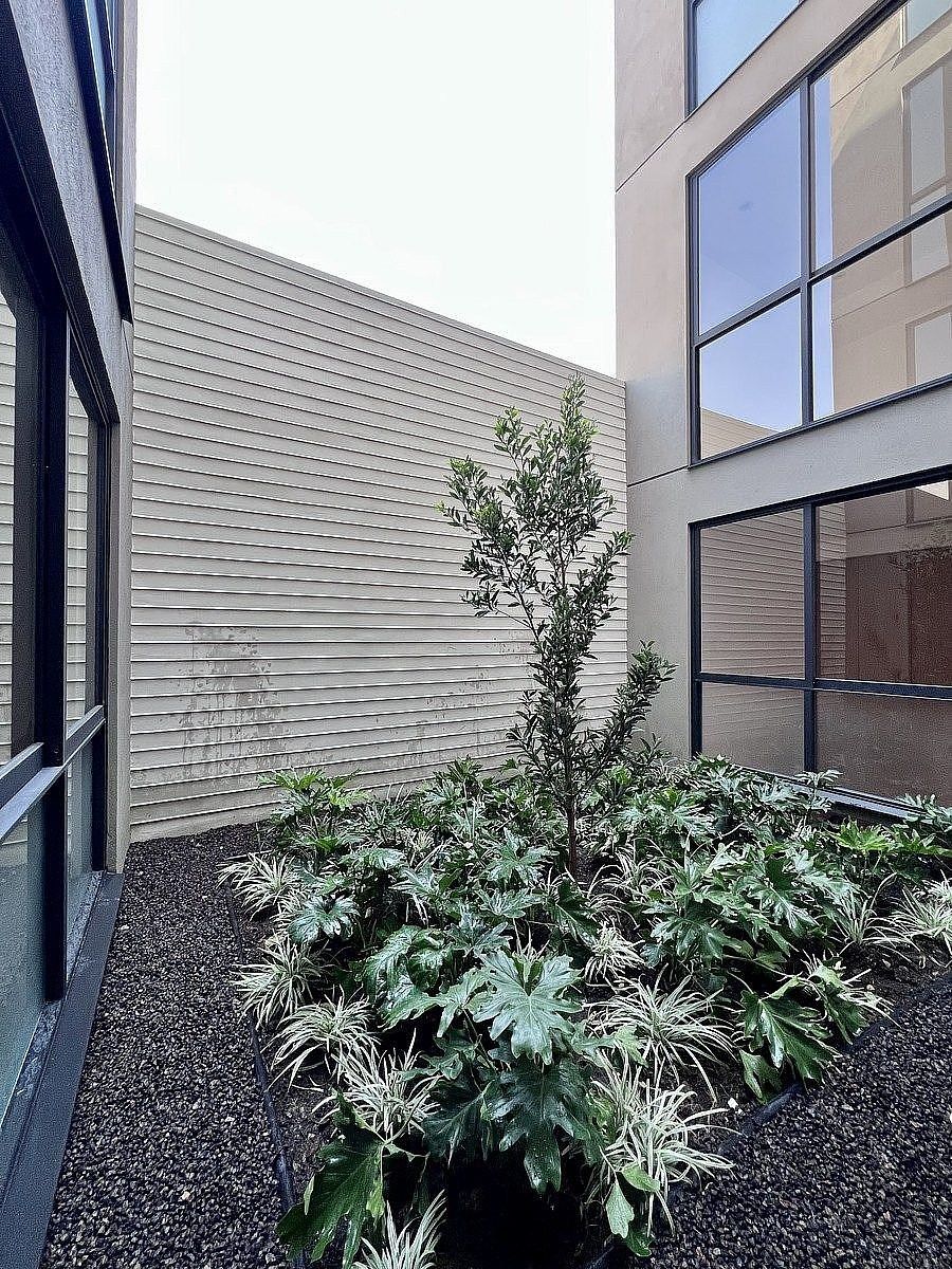Apartment in Del Valle Centro, Benito Juárez, photo 16 of 18