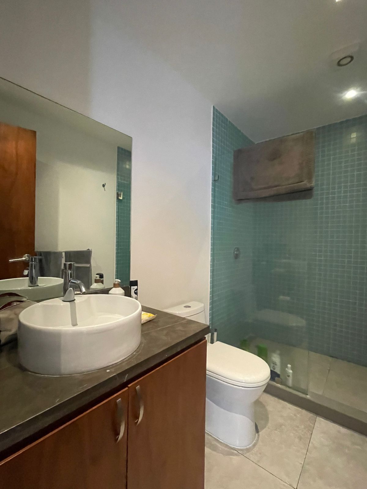 Apartment in Polanco V Sección, Miguel Hidalgo, photo 11 of 11