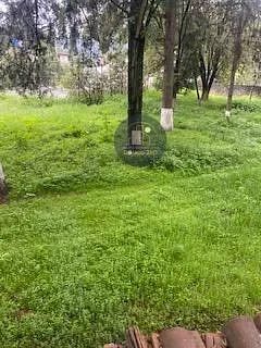 Casa em San Mateo Xalpa, Xochimilco, foto 9 de 49