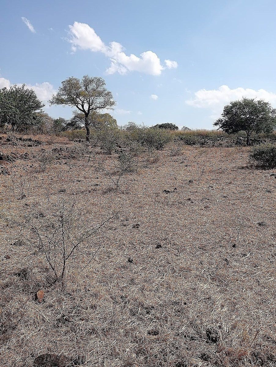 Terreno Ejidal en Venta – Acatlán de Juárez, Jalisco, foto 1 de 27