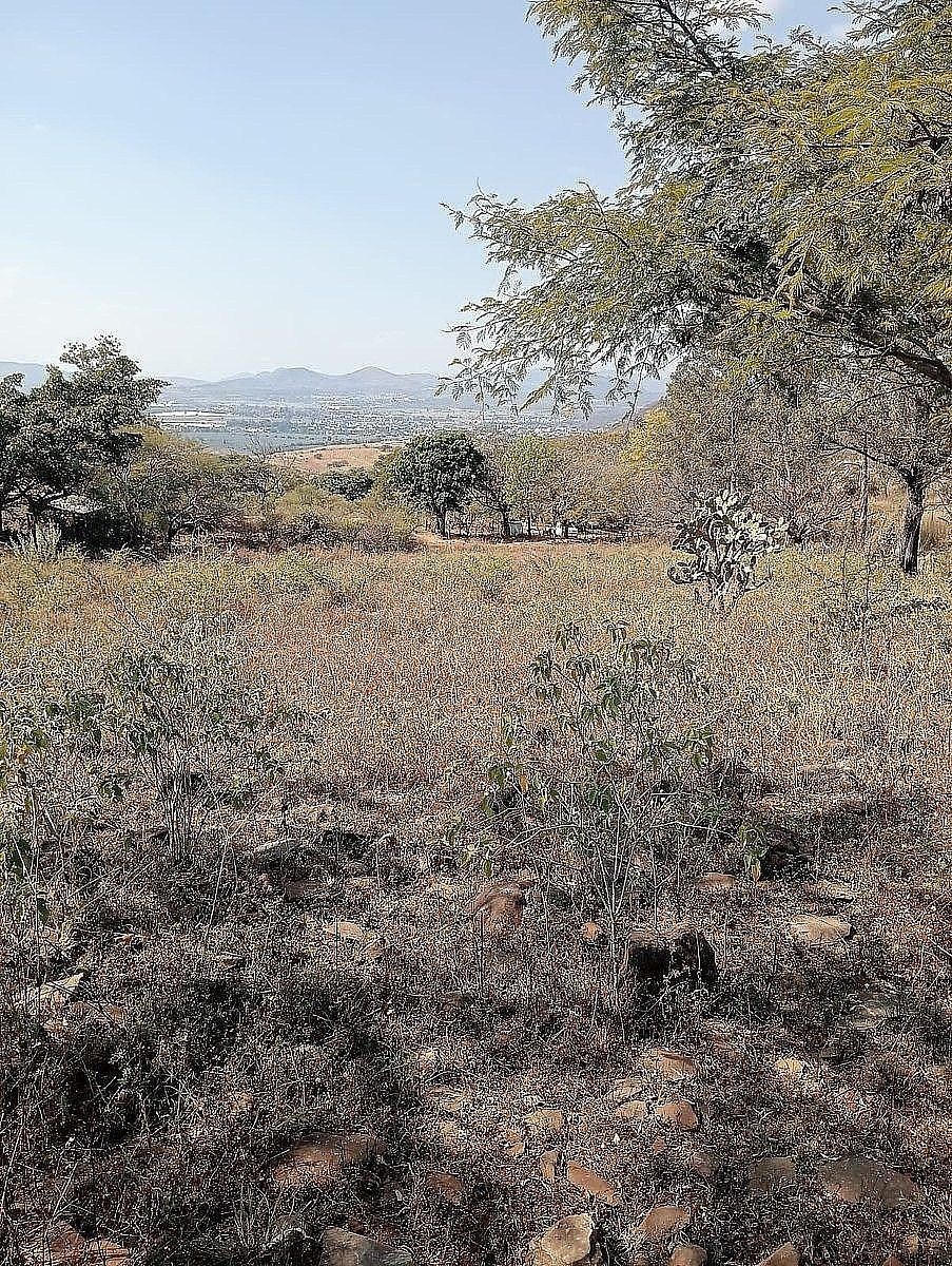 Terreno industrial en Acatlán de Juárez Centro, Acatlán de Juárez, foto 3 de 27