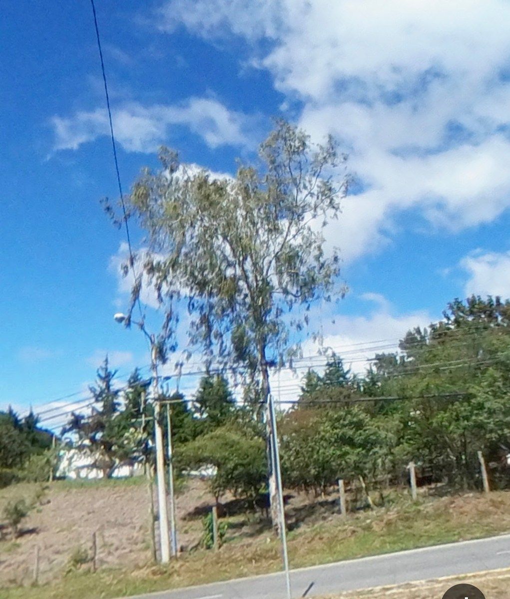 Terreno Comercial en Venta junto a Cascata – Zona 16 - Image 1