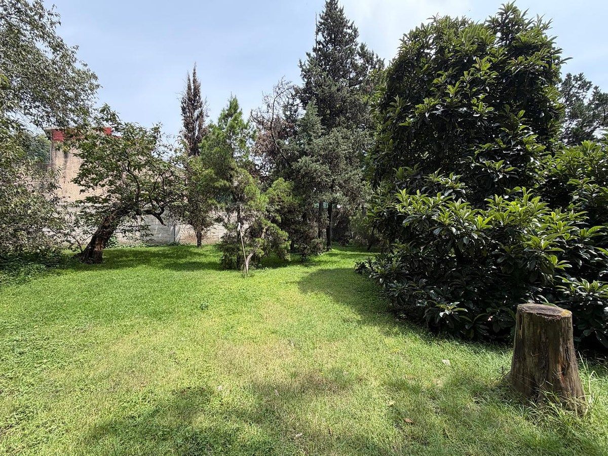 Lote em Los Alpes, Álvaro Obregón, foto 18 de 43