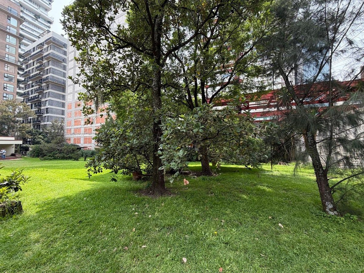 Lote em Los Alpes, Álvaro Obregón, foto 20 de 43