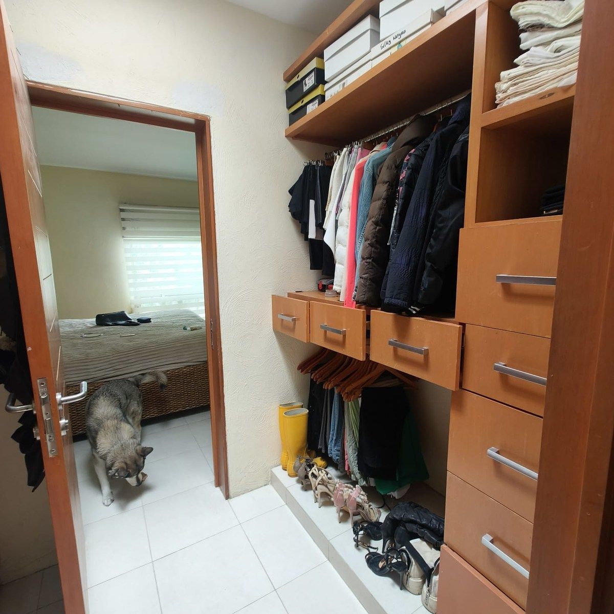 House in Gated Community in Los Pinos Campestre, Zapopan, photo 24 of 32