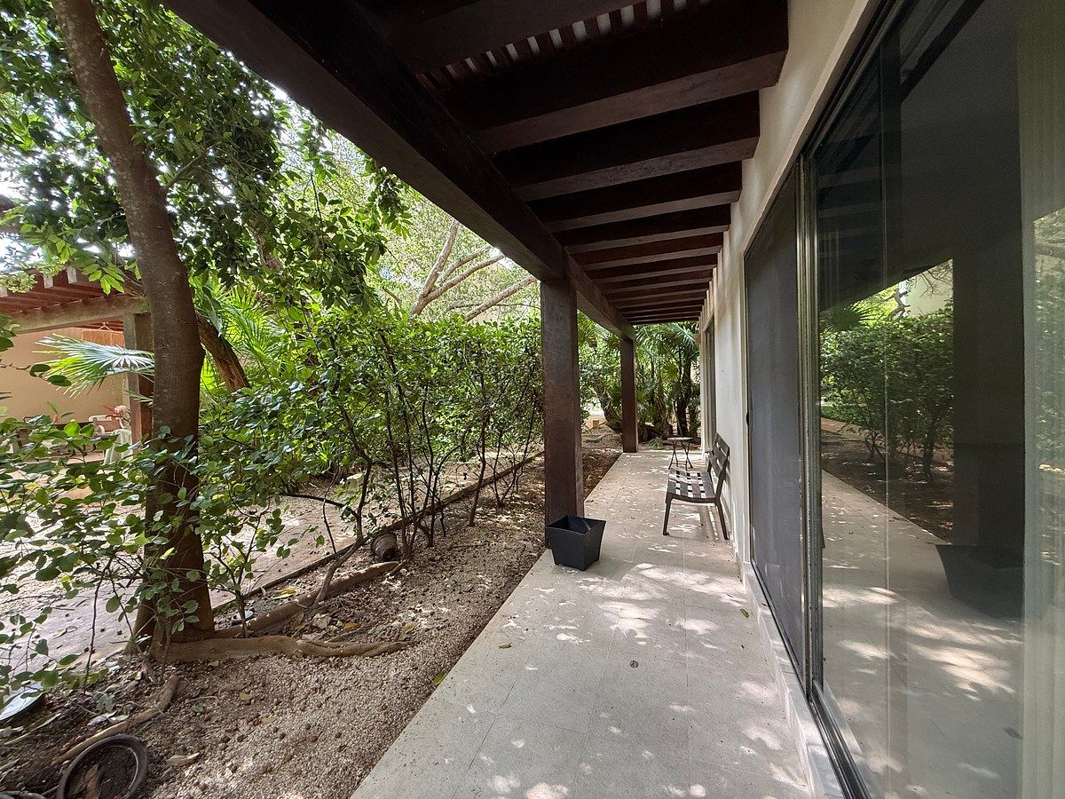 Terraza, photo 7 of 29