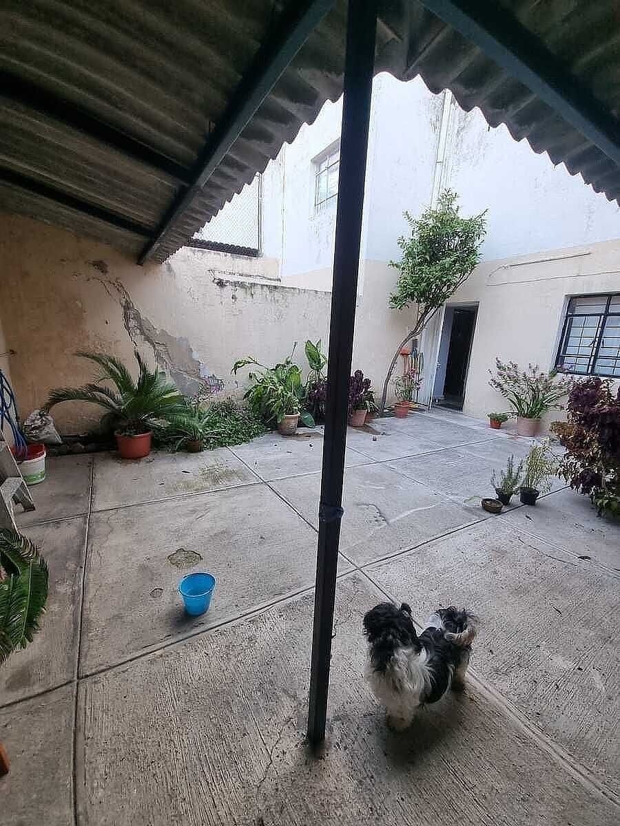 Casa en Independencia, Guadalajara, foto 19 de 20