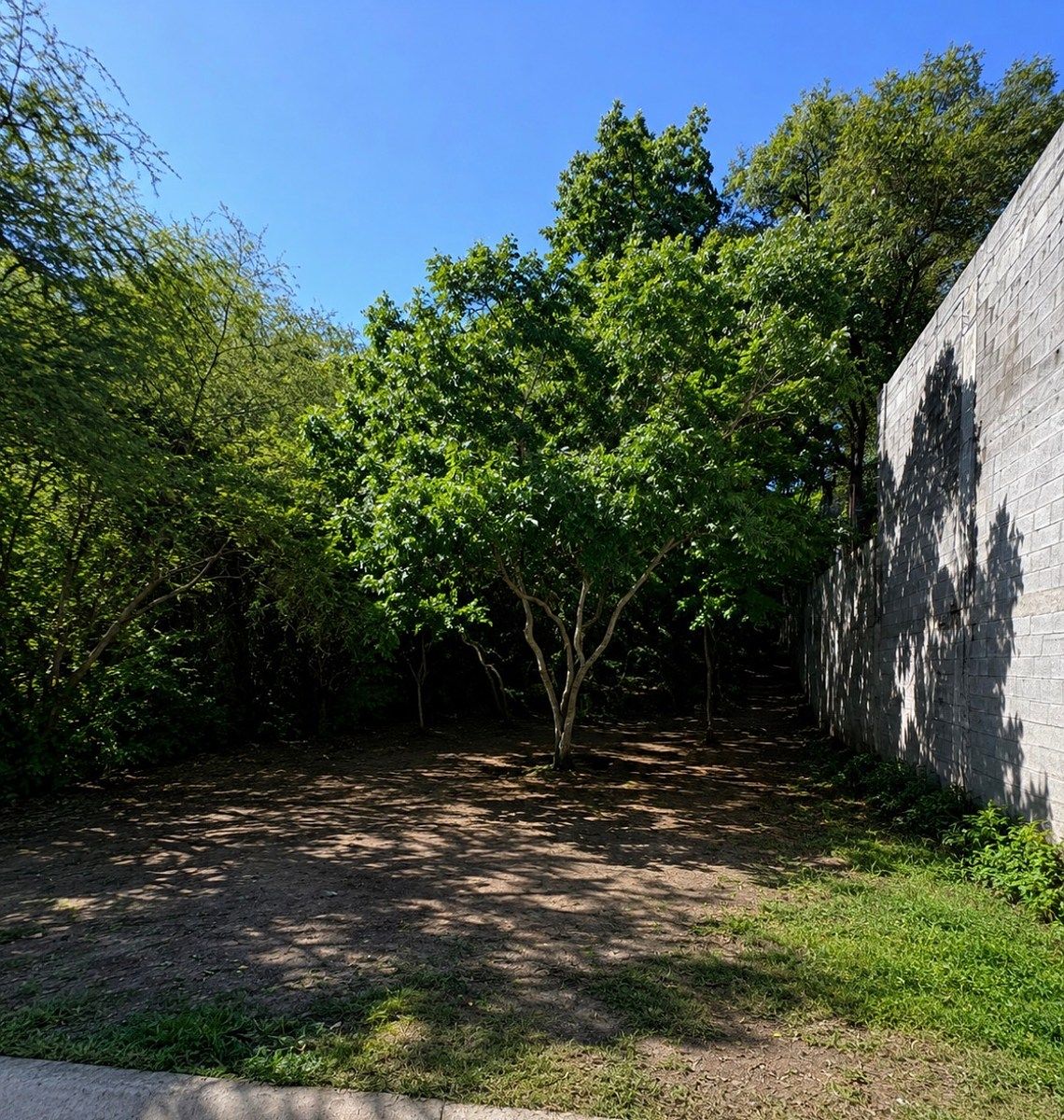 Lote em Bosque Residencial, Santiago, foto 2 de 5