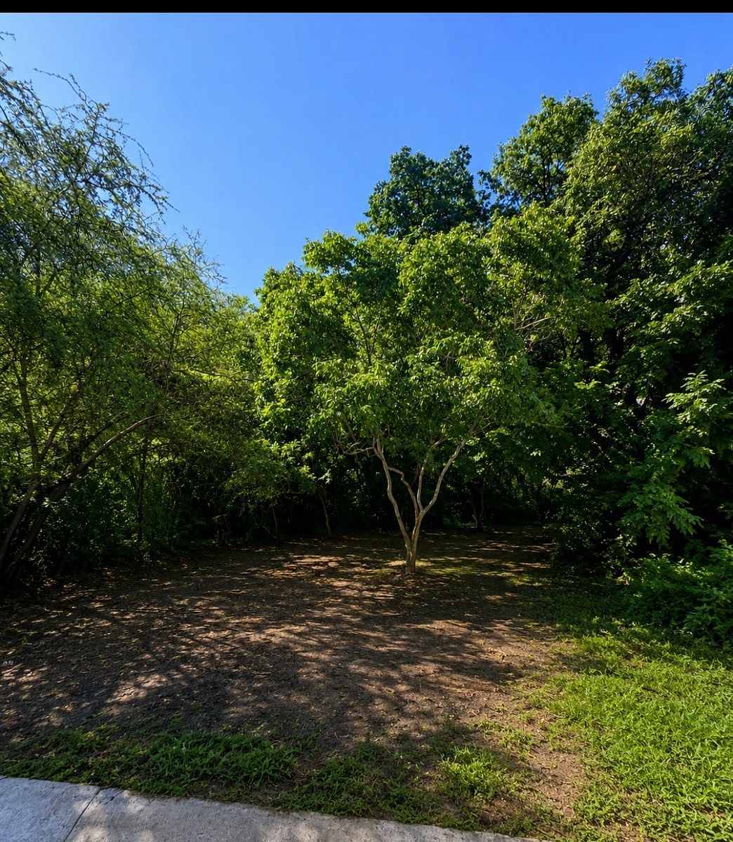 Lote em Bosque Residencial, Santiago, foto 3 de 5