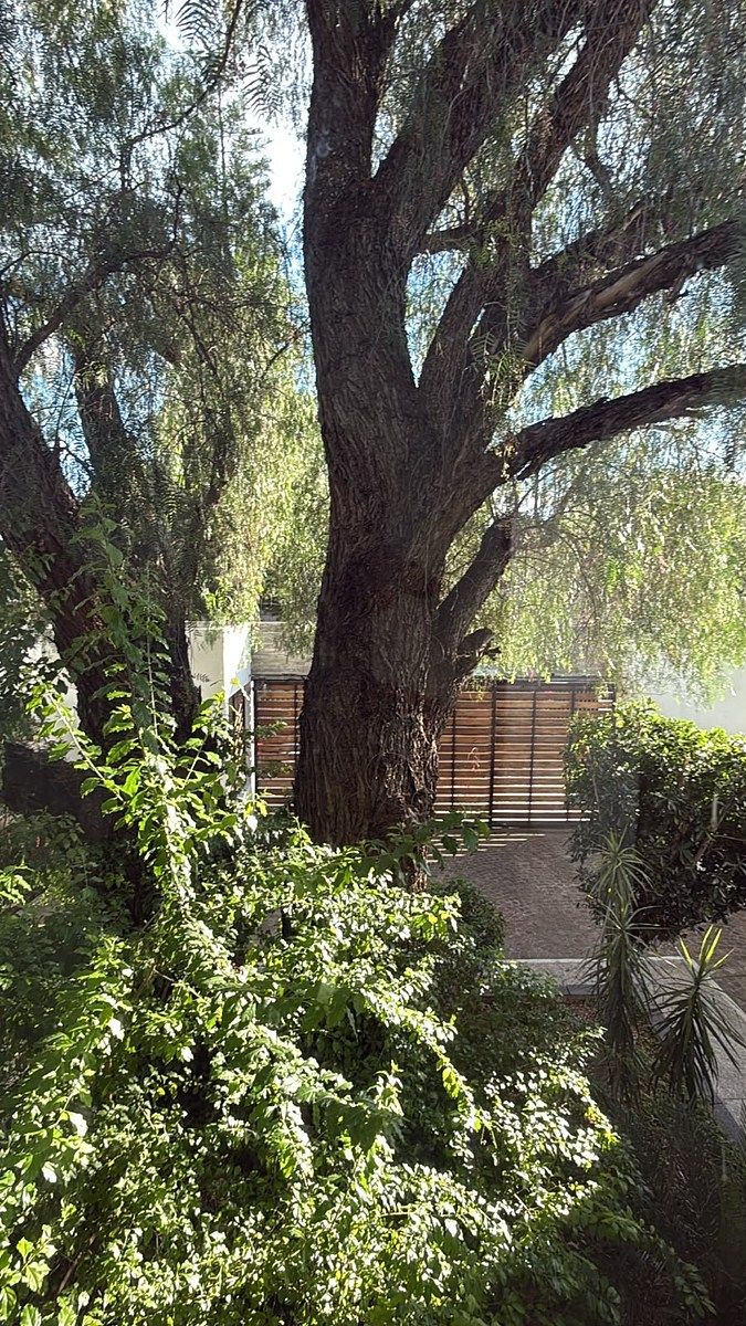 Casa em Fraccionamiento Villas del Mesón, Querétaro, foto 3 de 29