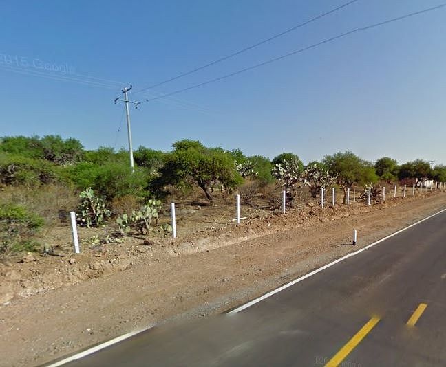 Lote em San José de la Ordeña, Aguascalientes, foto 3 de 4