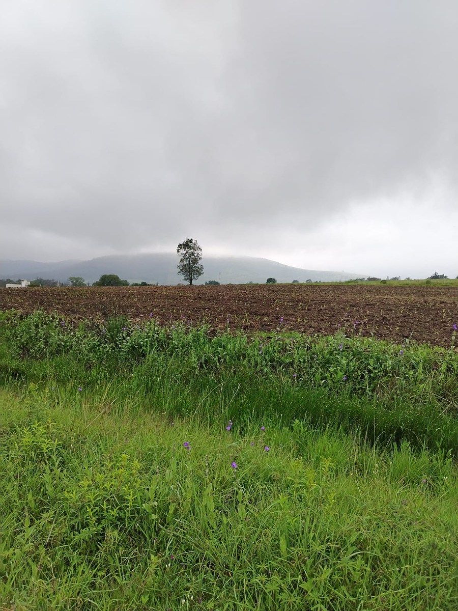 Lot in Huimilpan Centro, Huimilpan, photo 7 of 8