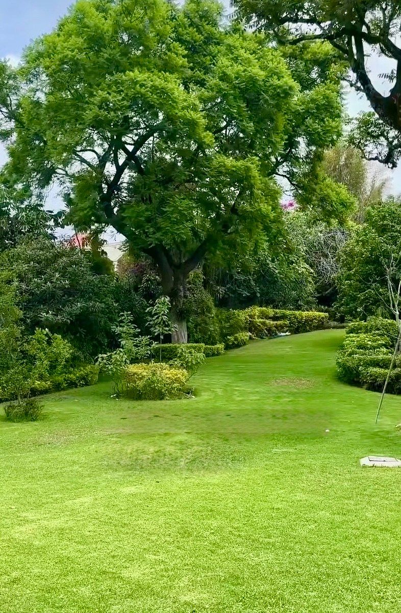 Casa en Jardines de Ahuatepec, Cuernavaca, foto 4 de 16