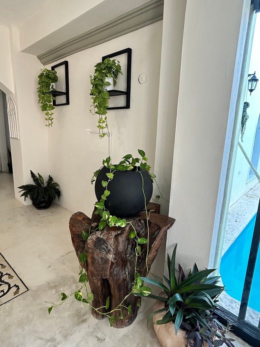 Departamento en Mérida Centro, Mérida, foto 14 de 14