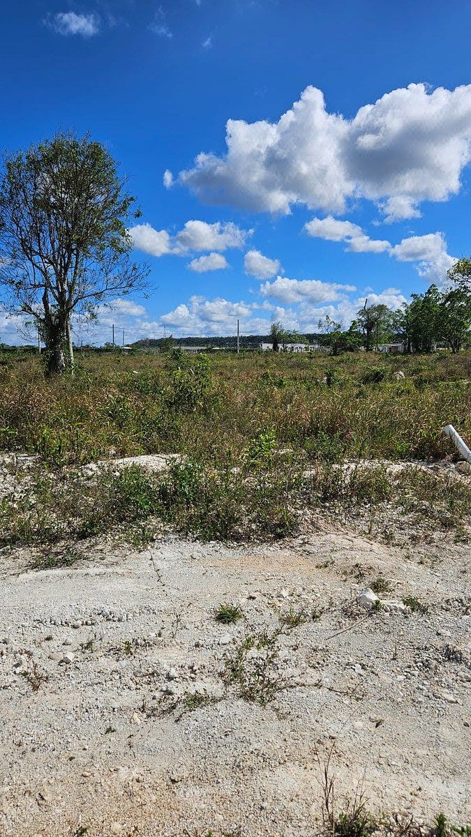 Solar en Bávaro, foto 3
