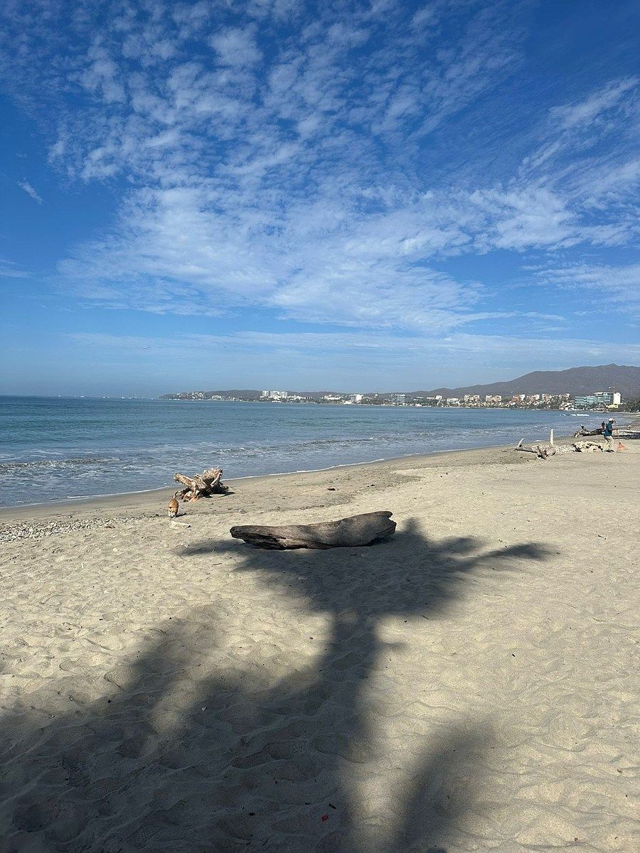 Departamento en Playas de Huanacaxtle, Bahía de Banderas, foto 6 de 9