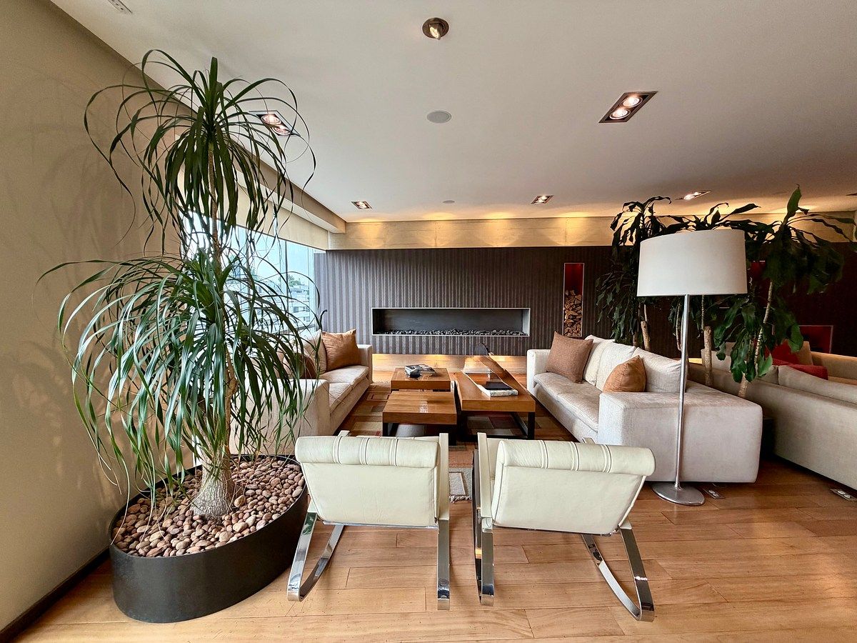 Apartment in Bosques de las Lomas, Cuajimalpa de Morelos, photo 3 of 30