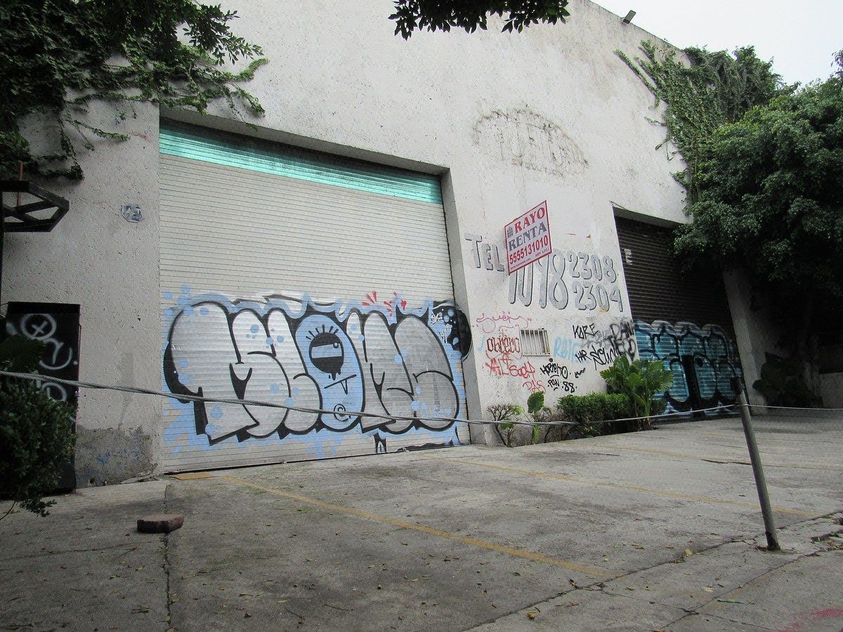 Bodega en Renta en Tlalpan Rayo Vende ®, foto 6 de 8