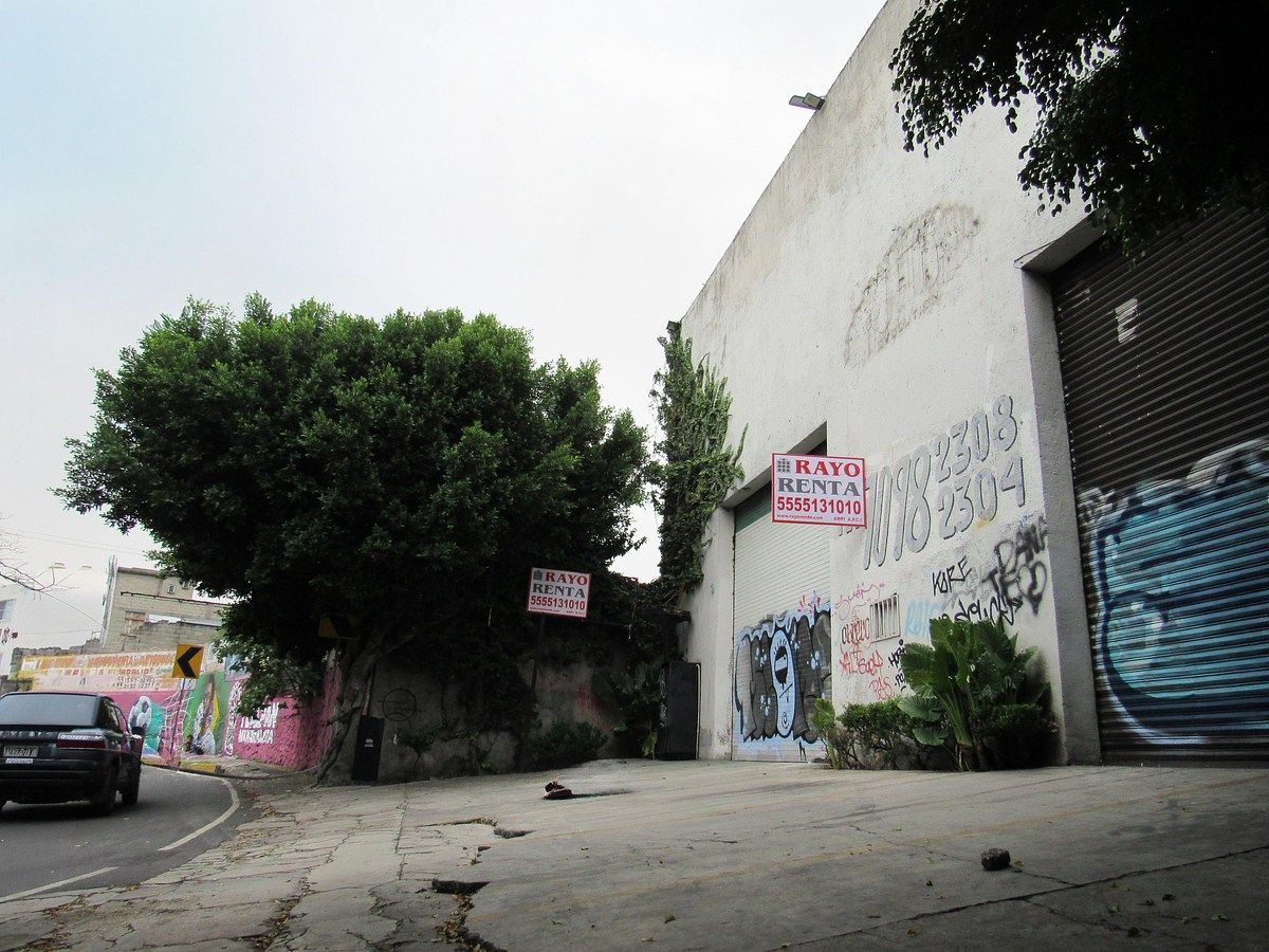 Bodega en Renta en Tlalpan Rayo Vende ®, foto 7 de 8