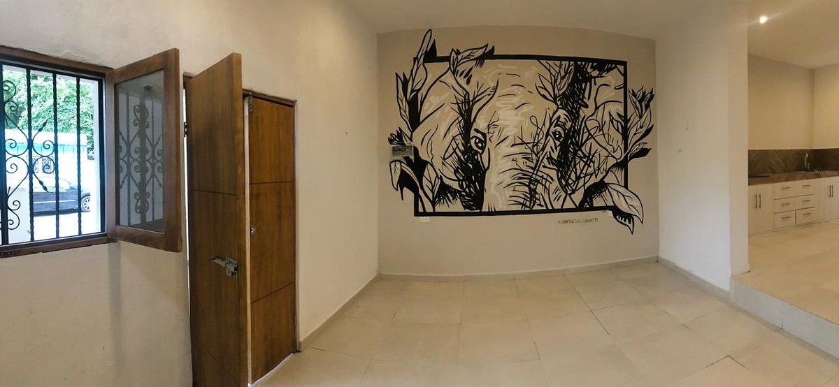 House in Mérida Centro, Mérida, photo 9 of 13