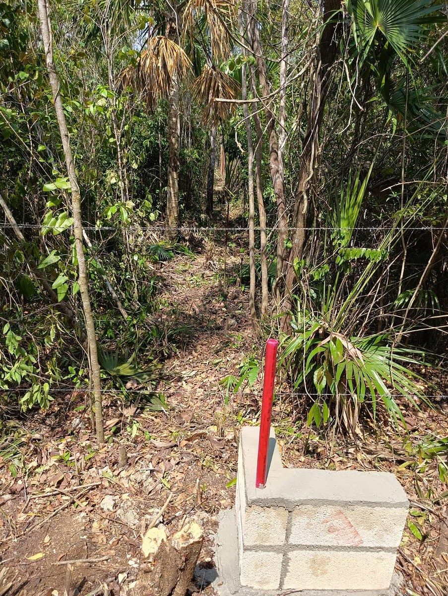 Terreno en Benito Juárez, Benito Juárez, foto 4 de 5