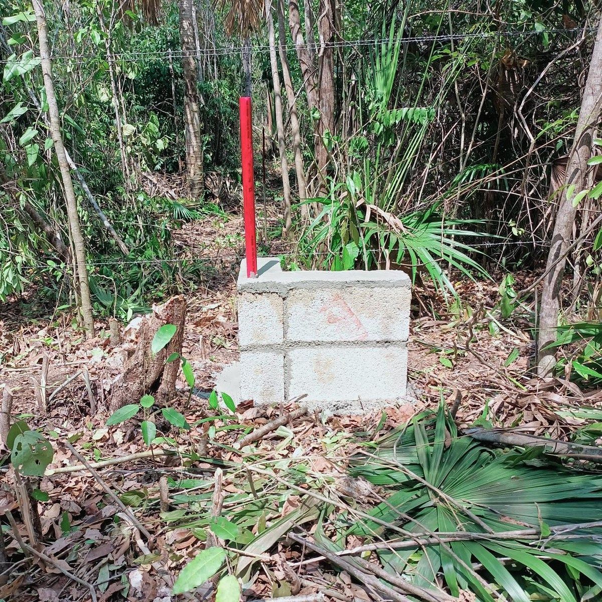 Terreno en Benito Juárez, Benito Juárez, foto 5 de 5