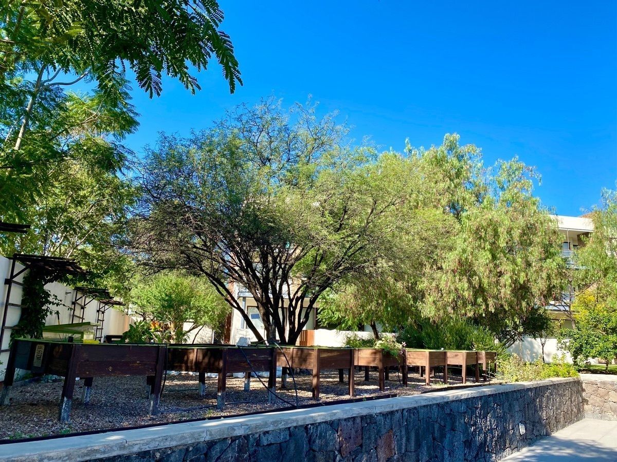 Departamento en Juriquilla, Querétaro, foto 4 de 45