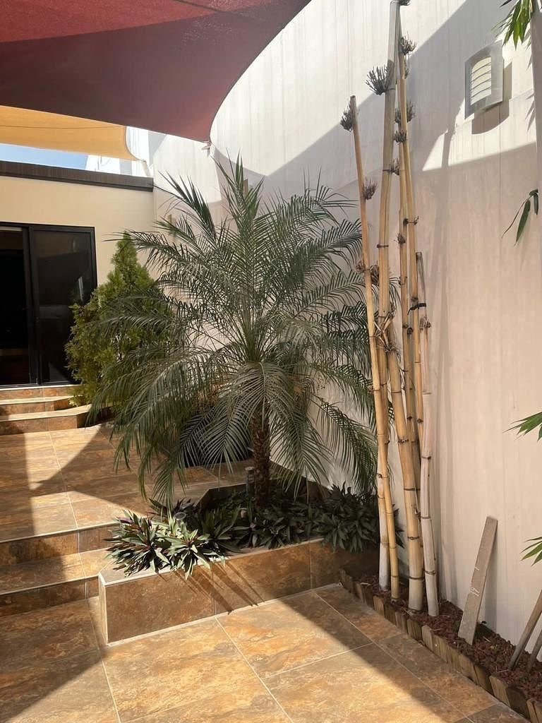 Casa en Las Torres, Monterrey, foto 14 de 14