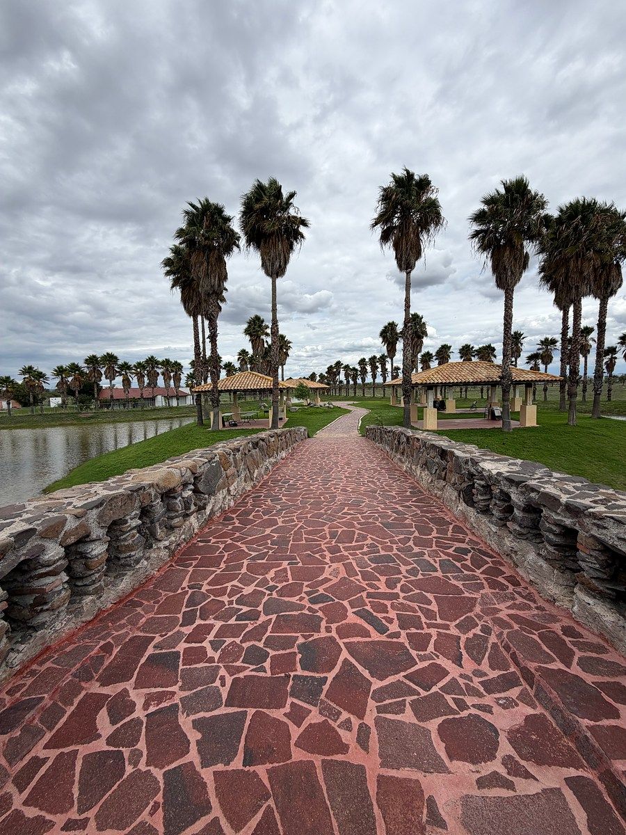 Lote em El Retoño, El Llano, foto 3 de 10