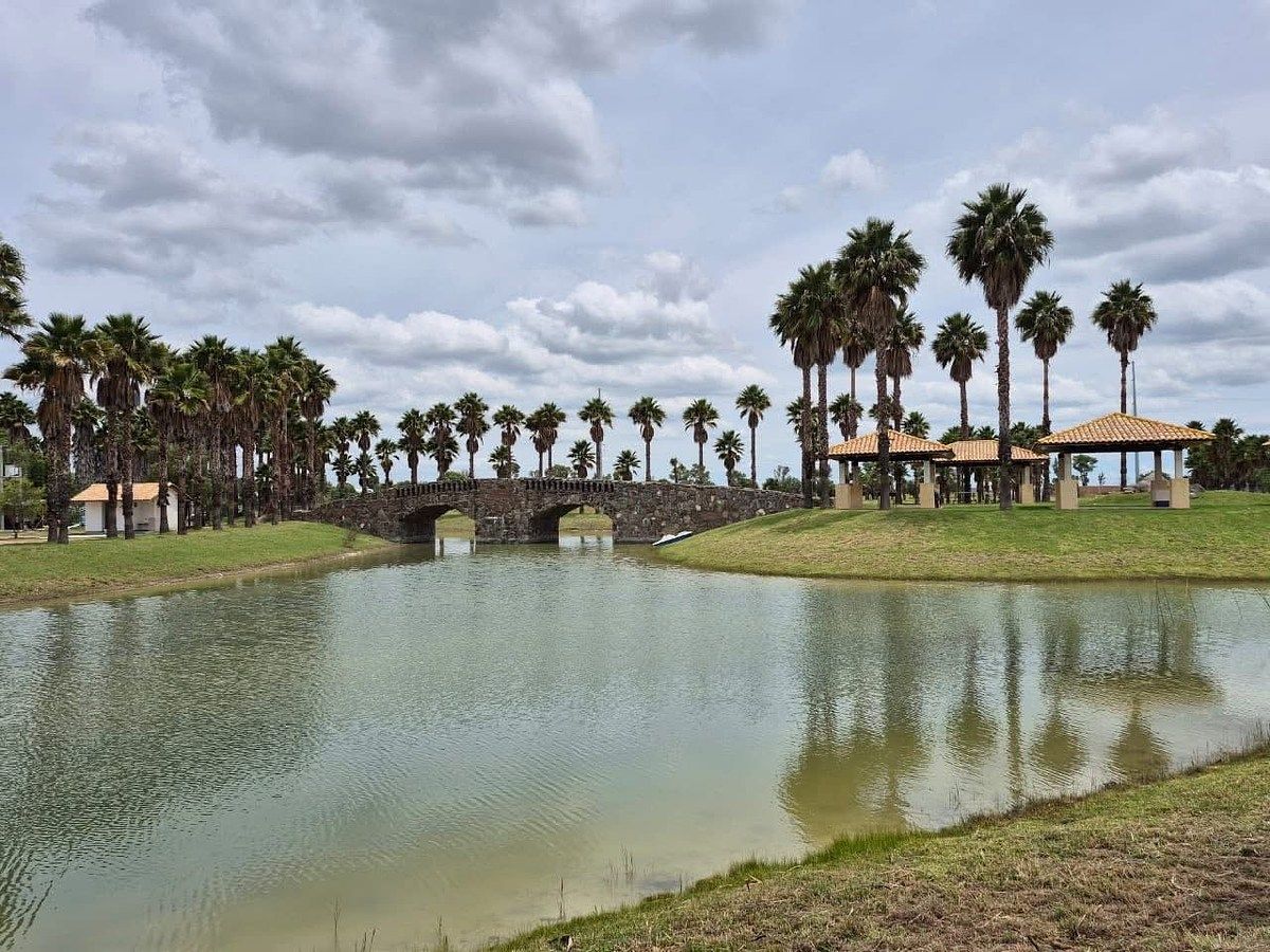 Lote em El Retoño, El Llano, foto 8 de 10