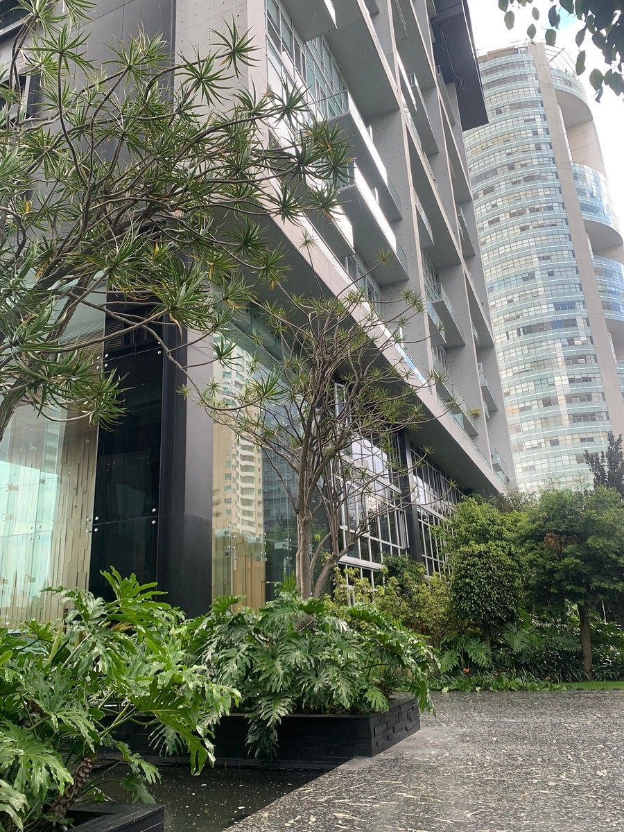 Apartamento em Contadero, Cuajimalpa de Morelos, foto 12 de 20