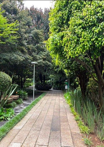 Apartamento em Contadero, Cuajimalpa de Morelos, foto 16 de 20