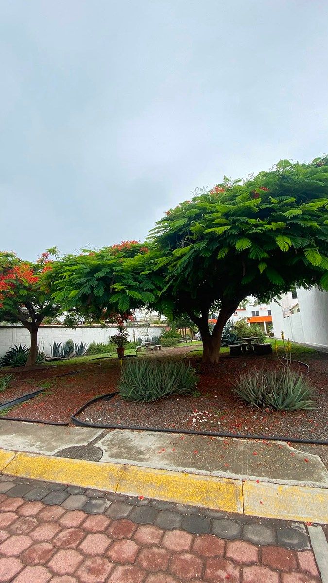 House in Gated Community in Ensueño, Querétaro, photo 13 of 14
