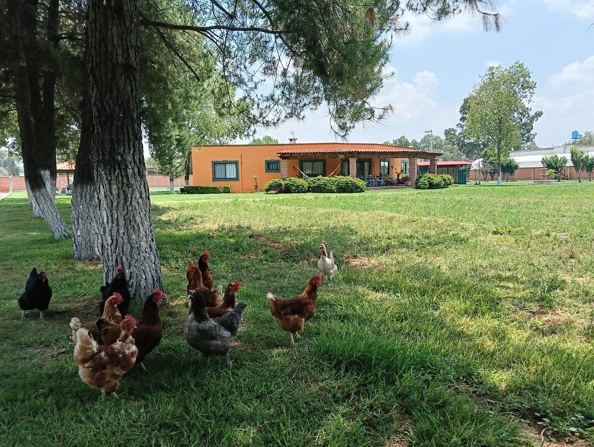 Quinta en San Andrés Chiautla Centro, Chiautla, foto 8 de 18