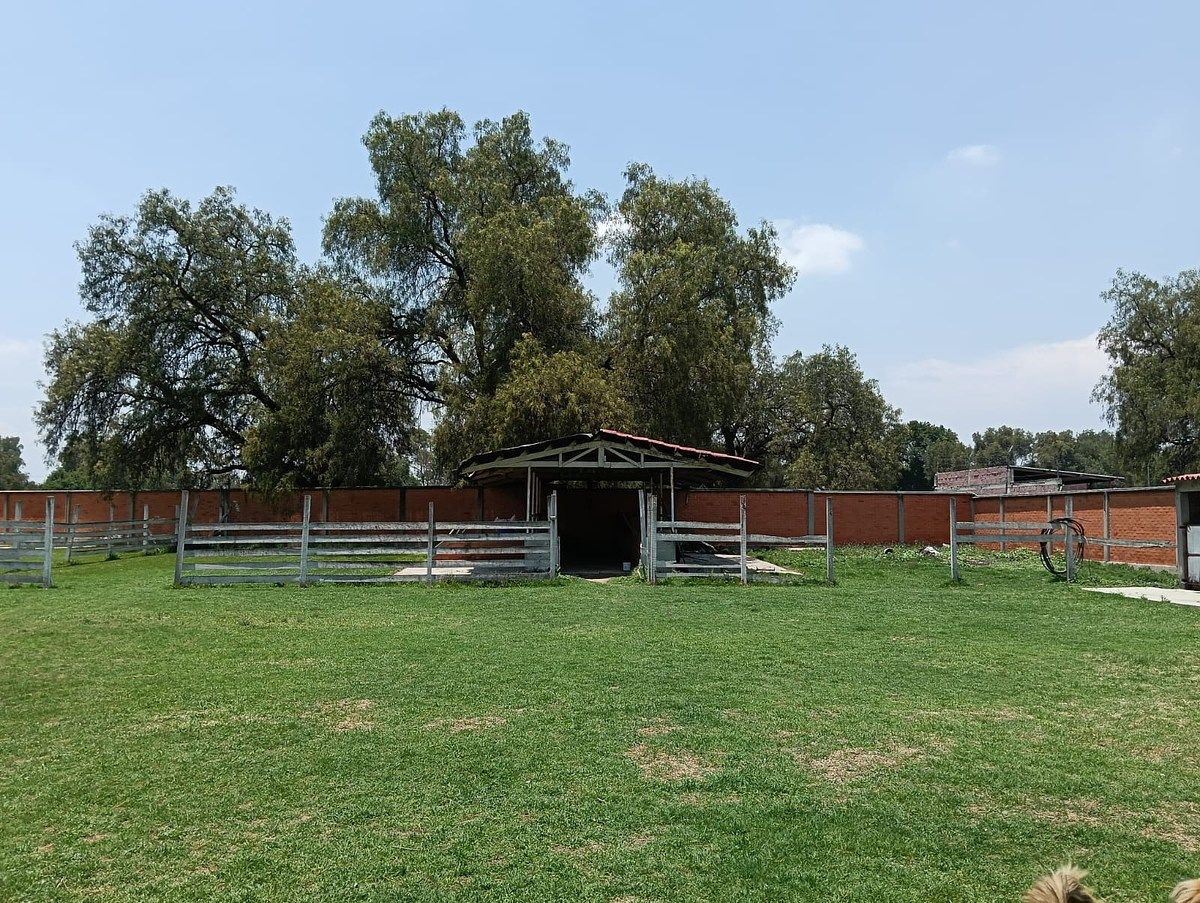 Quinta en San Andrés Chiautla Centro, Chiautla, foto 10 de 18