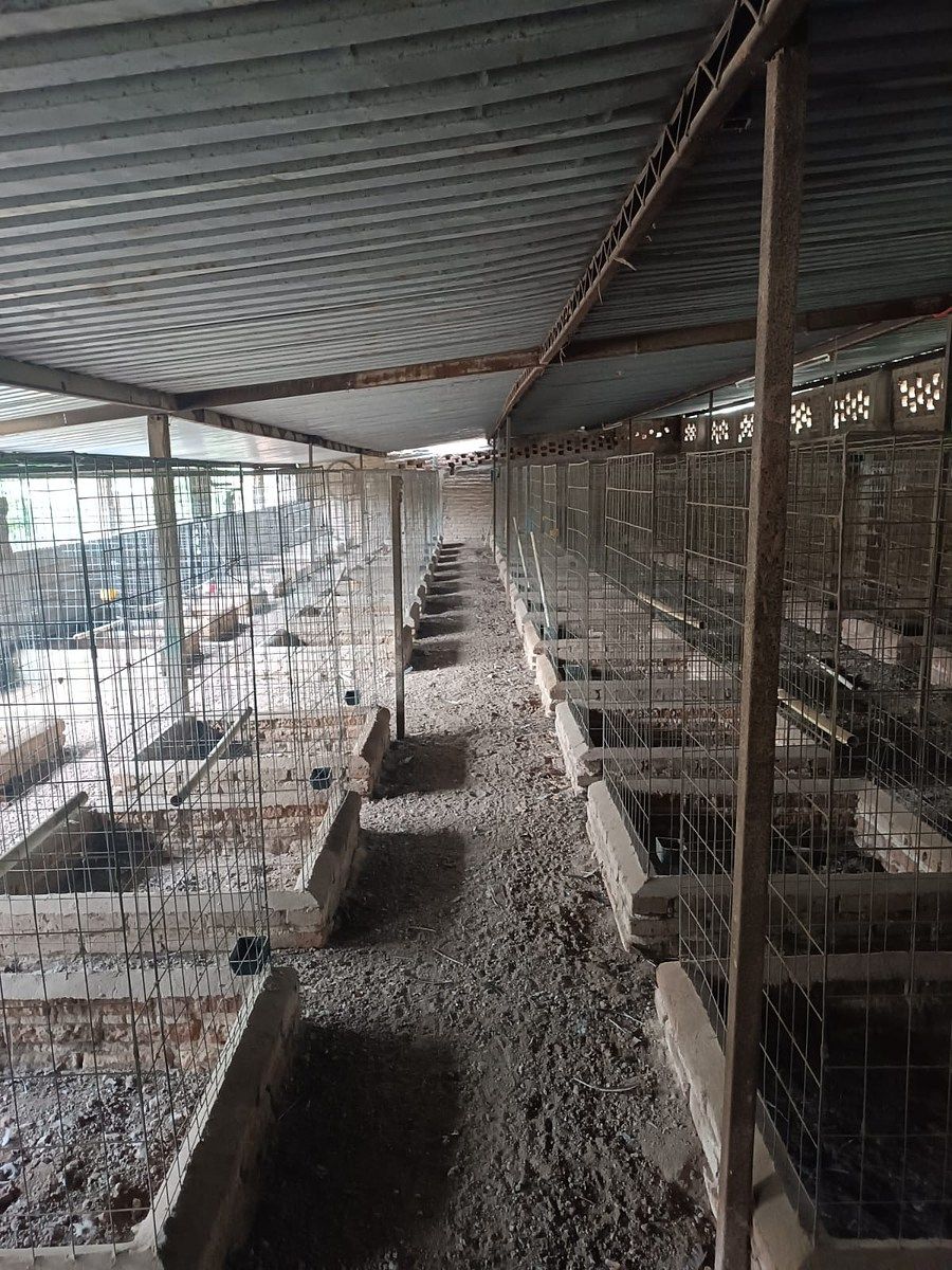 Casa en Ixtlahuacan de los Membrillos, Ixtlahuacán de los Membrillos, foto 6 de 7