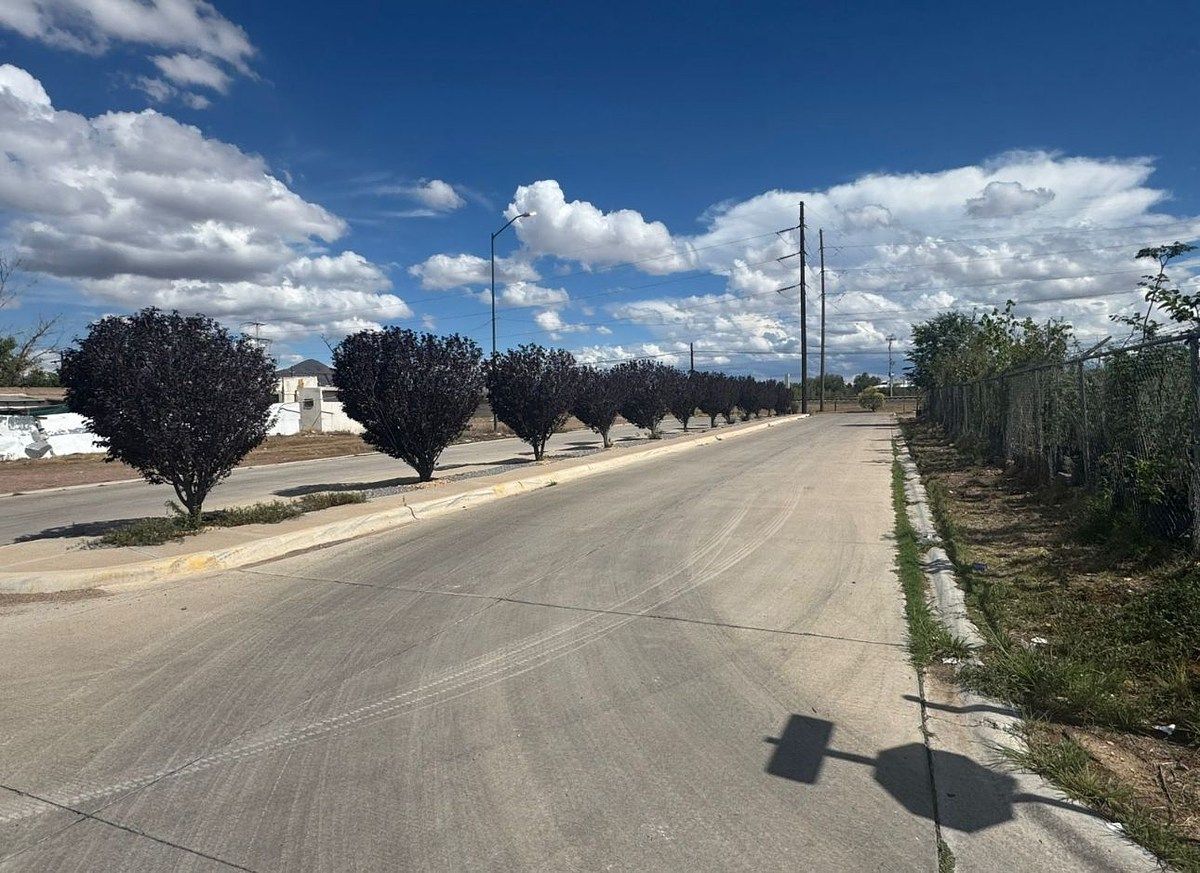 Terreno en Kilómetro 11 Corredor Comercial Manitoba, Cuauhtémoc, foto 3 de 6